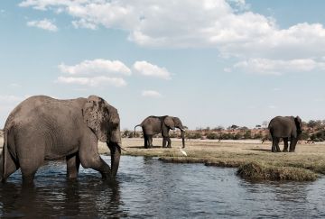 Viaggio di gruppo Botswana, Zimbabwe e Victoria Falls