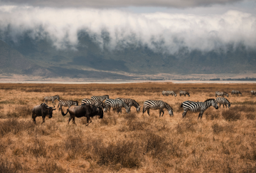 Viaggio di gruppo in Tanzania