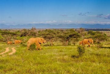 Viaggio in Madagascar