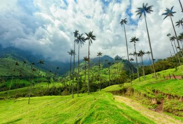 viaggio di gruppo colombia