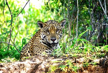 Viaggio di Gruppo in Brasile