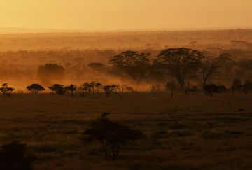 Viaggio di gruppo in Sudafrica