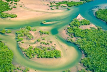 Viaggio di gruppo Senegal