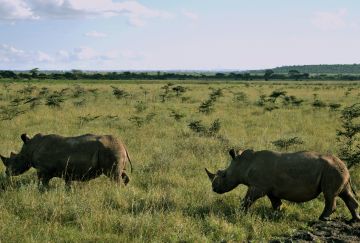 SiVola Together in Kenya