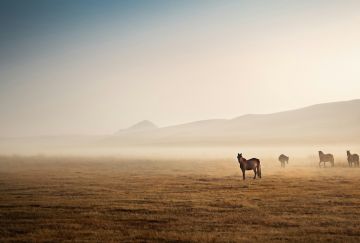 Mongolia Inedita con Sara Melotti