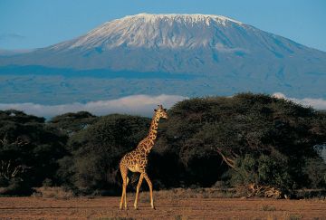 Viaggi di gruppo Kilimangiaro e Zanzibar