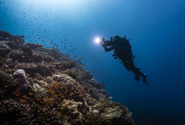 Egitto: crociera nel mar Rosso, diving & snorkeling