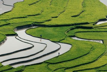 Vietnam on the road