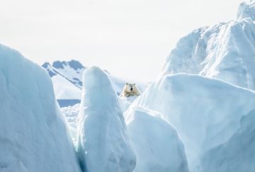 Svalbard in motoslitta