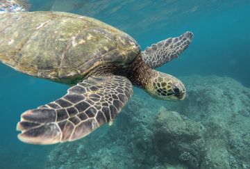 Viaggi di gruppo Ecuador e Isole Galapagos