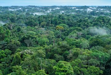 Perù & Amazzonia