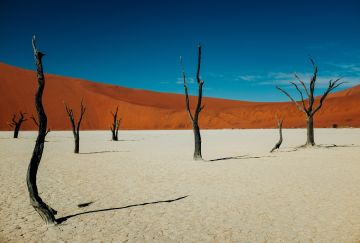 Namibia Safari