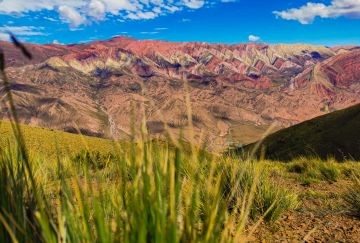 Viaggio di gruppo in Argentina