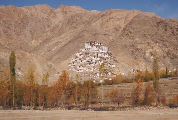 Viaggio di gruppo in India Ladakh