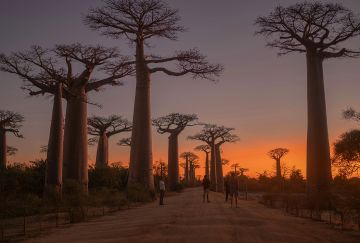Viaggio di gruppo in Madagascar