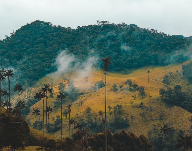 viaggio di gruppo colombia