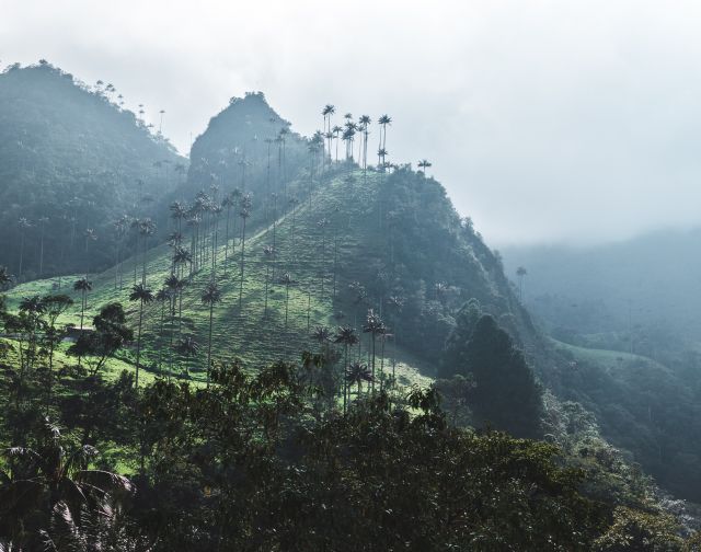 viaggio di gruppo colombia