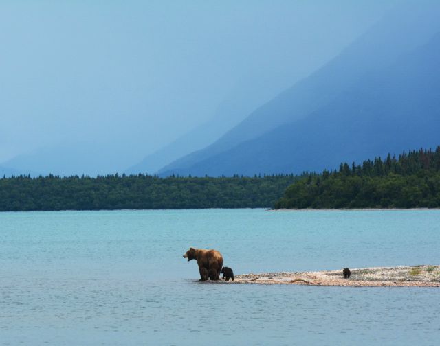 Alaska: l'ultima frontiera