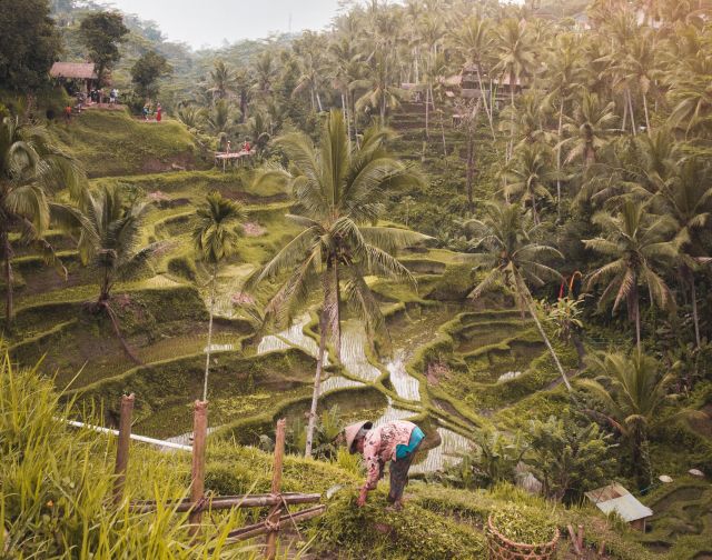 Viaggio di gruppo Bali e Gili