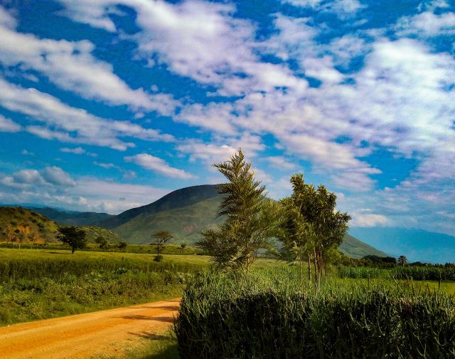 Viaggio di gruppo uganda gorilla safari