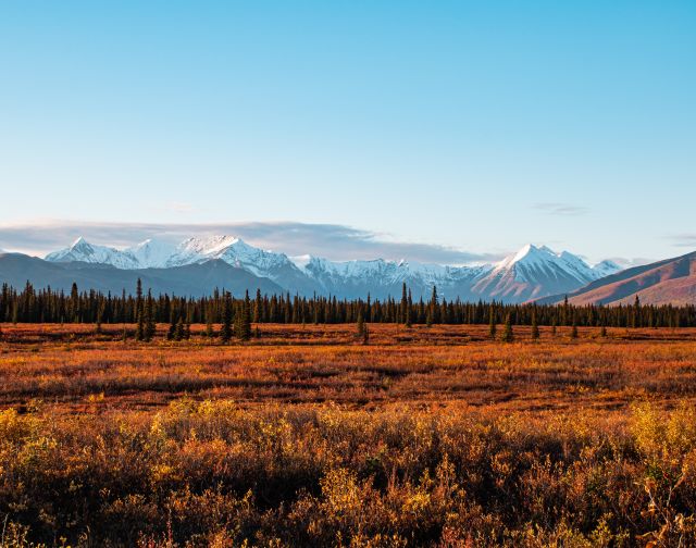 Alaska: l'ultima frontiera