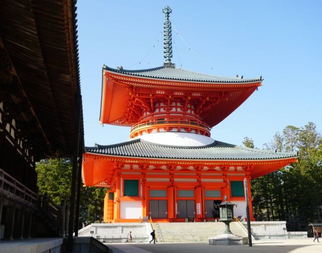 Giappone Hanami
