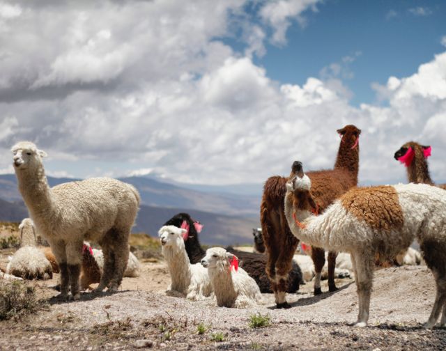 Perù: L'America degli Incas
