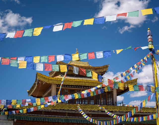 India: Ladakh, la via del Buddha
