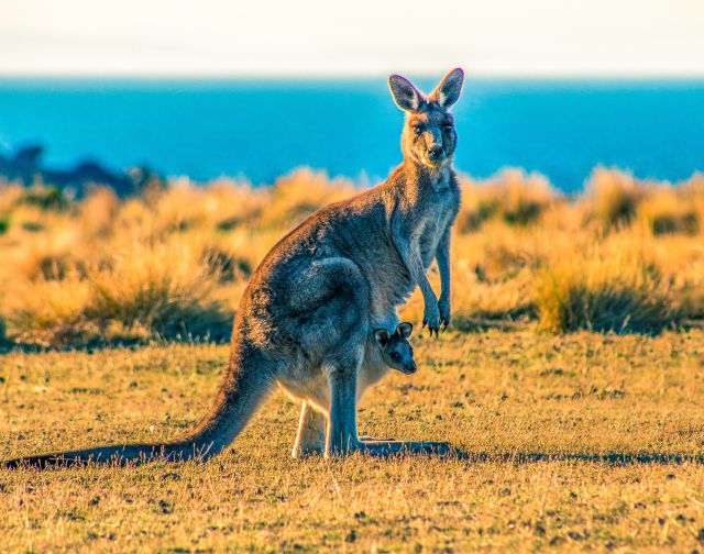 Viaggi di gruppo australia