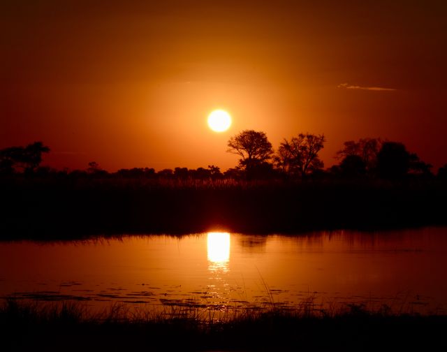 viaggio di gruppo botswana e zimbabwe