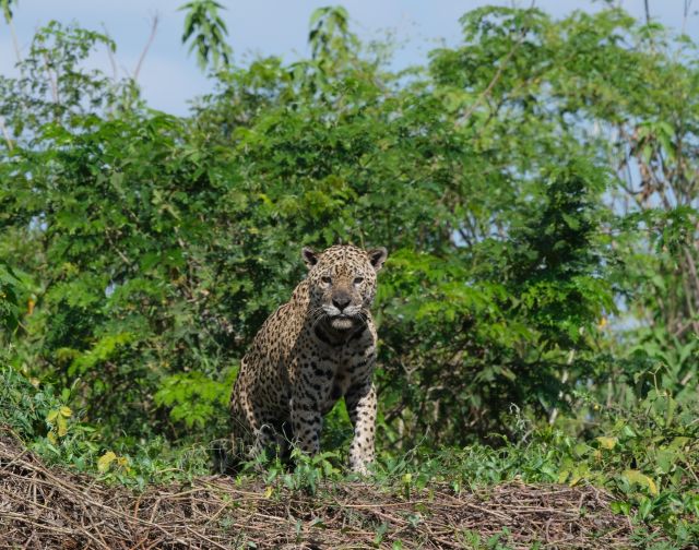 Viaggio di Gruppo in Brasile