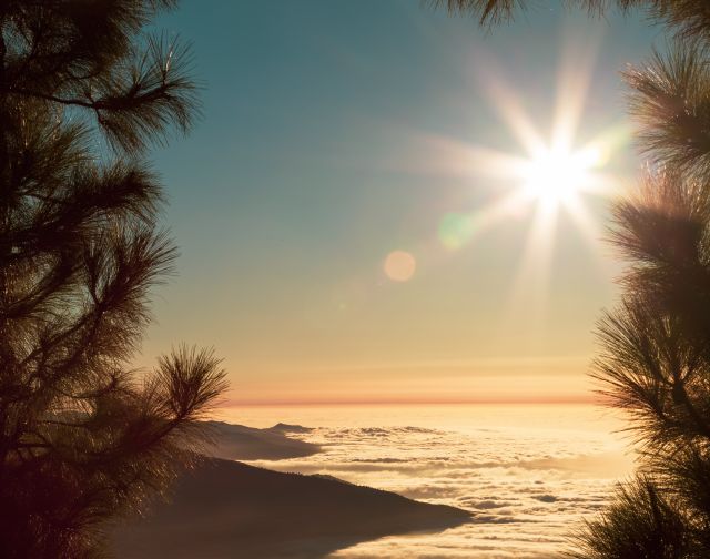 Tenerife e La Gomera