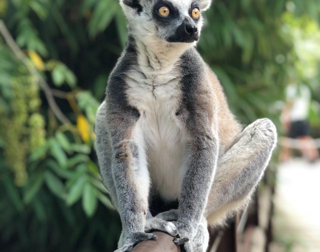 Viaggio di gruppo in Madagascar