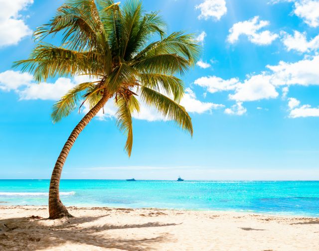 Viaggio alle Seychelles