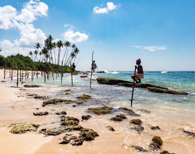 Viaggio di gruppo in Sri Lanka