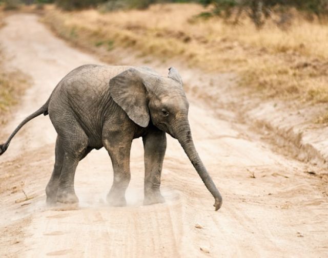 Viaggio di Gruppo  in Tanzania e Mafia Island