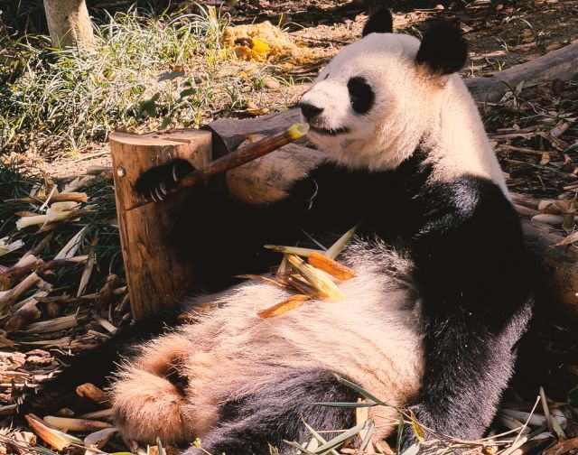 Viaggio di gruppo in Cina