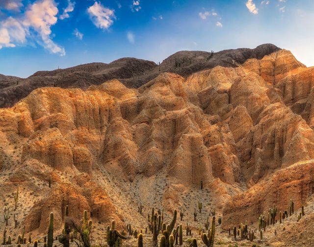 Viaggio di gruppo in Argentina