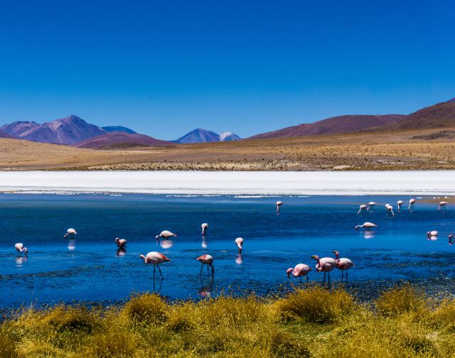 Viaggio di gruppo in Bolivia