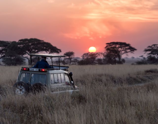 viaggio di gruppo tanzania e zanzibar