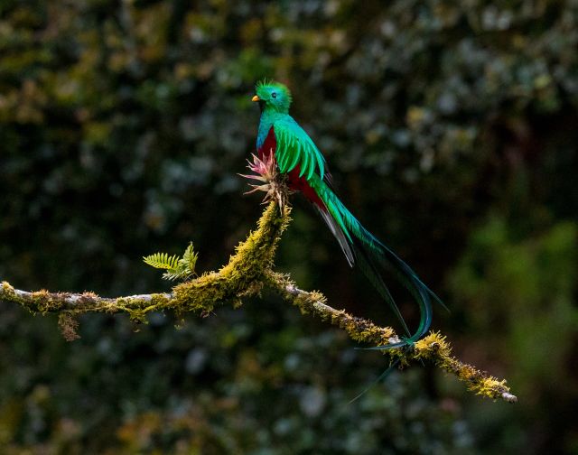 Viaggio di gruppo in Guatemala