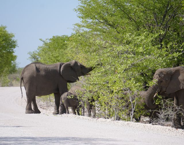 Viaggi di gruppo Tanzania e Zanzibar