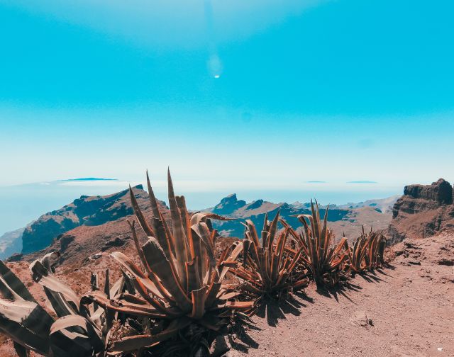 Tenerife e La Gomera