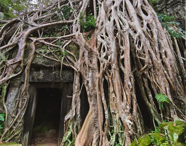 Viaggio in Vietnam e Cambogia