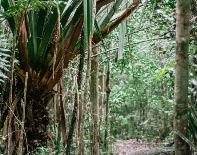 Viaggio di gruppo in Madagascar