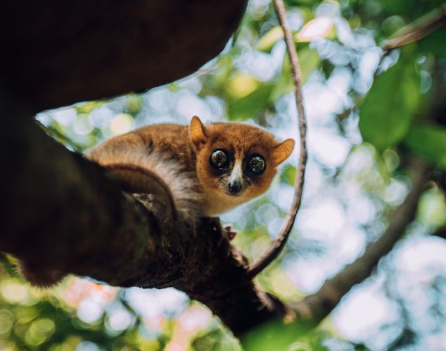 Viaggio di gruppo in Madagascar