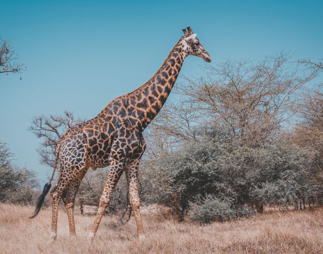 Viaggio di gruppo Senegal