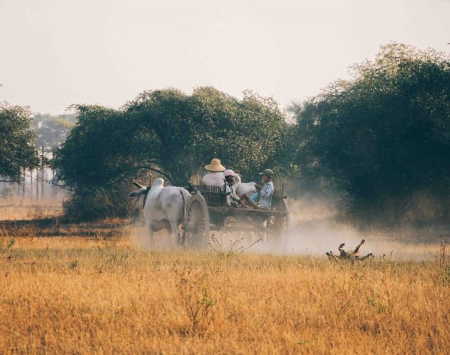 Myanmar