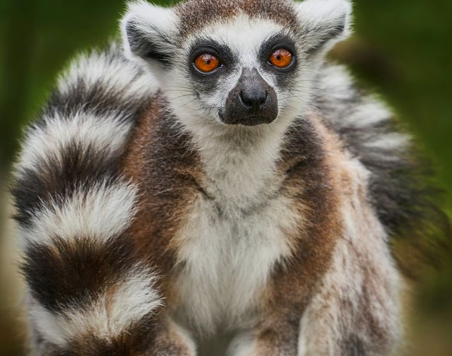 Viaggio di gruppo in Madagascar