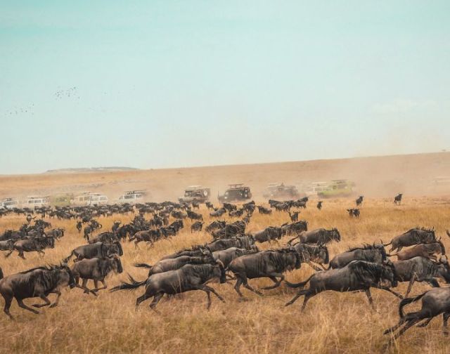 Viaggio di gruppo in Kenya